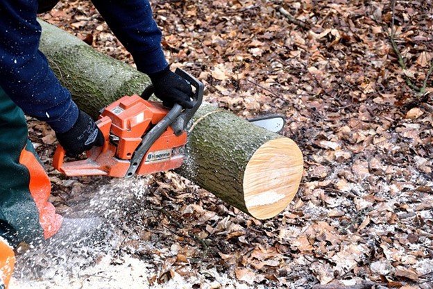 How Much Does Tree Removal Cost in Solon, OH?