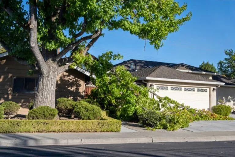 Is Tree Removal Covered by Homeowners Insurance in Solon, OH?